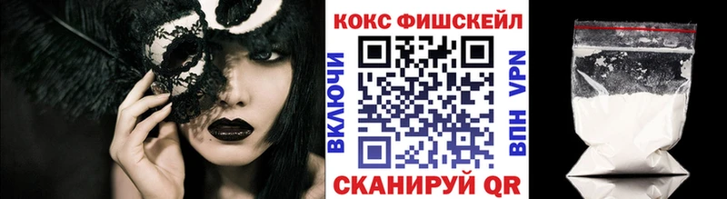 КОКАИН FishScale  Купить где  Заринск 