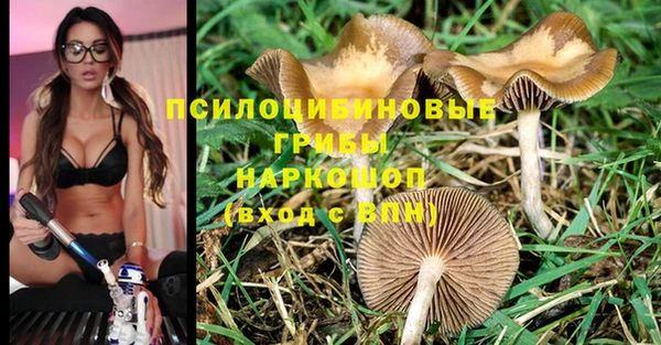 альфа пвп Краснослободск